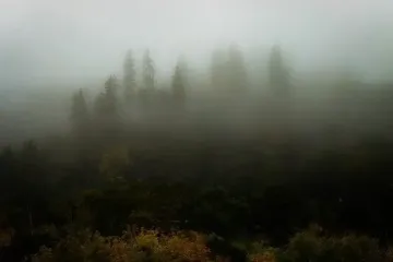 Украины накроют дожди и туманы: прогноз на сегодня, 4 декабря