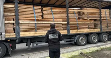 На Закарпатье остановили контрабанду древесины