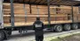На Закарпатье остановили контрабанду древесины