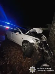 Под Киевом 19-летний парень похитил Tesla Model 3 у работодателя и влетел в дерево: появились фото