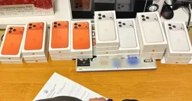 Жительница Волыни пыталась незаконно ввезти в Украину 23 iPhone 17 Pro Max