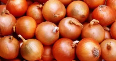 В Украине изменились цены на лук: сколько теперь платить за килограмм