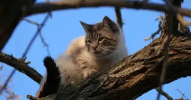 Тепло и без дождей: прогноз погоды на 5 декабря