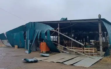 Russian drones strike Horodnia in Chernihiv region, injuring two woodworking plant workers. PHOTOS