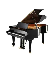 В Ужгороде приобрели рояль для музыкальной школы за фантастическую сумму