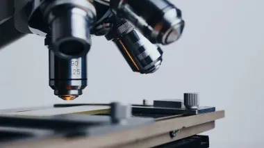 Ukraine's state budget 2026 allocates UAH 298.8 bln for education, science