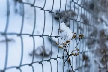 День ангела 8 грудня: кого та як вітати з іменинами
