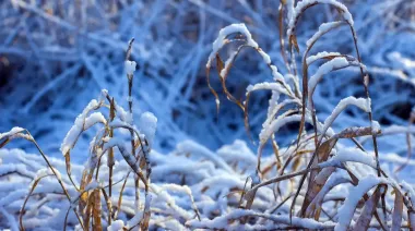 Туман, дощ і мокрий сніг – погода на 3 доби