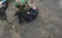In Kostiantynivka, Russian forces attacked man with drone who was returning home from his brother’s funeral. VIDEO