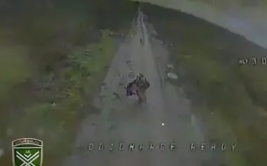 Drones of 68th Dovbush’s Hornets Brigade eliminate "flag-bearer" occupier in middle of road. VIDEO