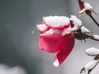 Прогноз погоды на 9 декабря: мокрый снег и дождь на востоке, туманы и порывы ветра (карта)