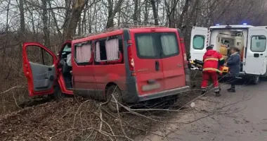 На Житомирщине микроавтобус съехал с дороги и врезался в дерево: двое пострадавших