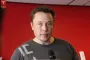 Elon Musk decided to take public revenge on the European Union