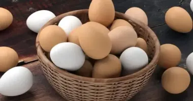 У Європі зростає попит на українські яйця: чому так відбувається