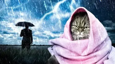 В Украину идет похолодание: синоптик рассказала, какой будет погода на этой неделе