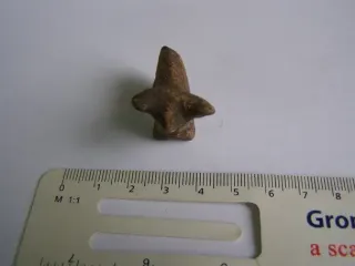 На Прикарпатье археологи обнаружили артефакт возрастом более 6 тысяч лет (фото)