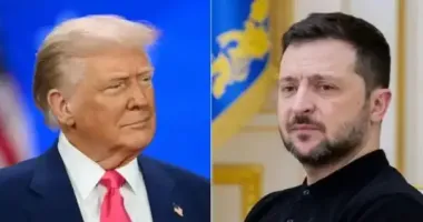 Зеленский правильно отреагировал на упреки Трампа о выборах