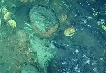 На дні моря знайшли першу частину скарбу вартістю 17 мільярдів доларів — фото