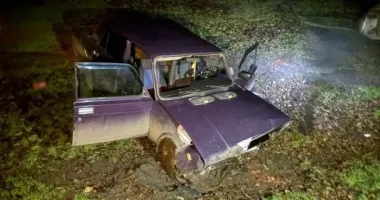 На Херсонщині легковик вилетів з дороги та врізався в дерево: водій загинув