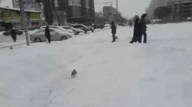 Українцям варто готуватись до арктичного холоду: зима ще може здивувати