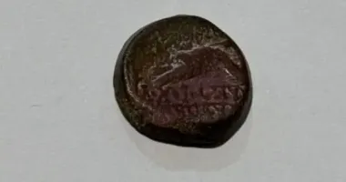 Українка намагалася таємно вивезти до Болгарії старовинні монети