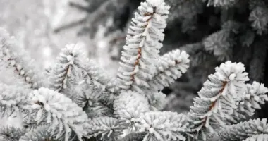 Синоптик попередила українців про сніг та морози