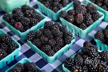 Сидяча робота б’є по серцю: 6 продуктів, які можуть його захистити