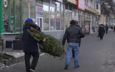 Чи можна перевозити ялинки у метро: киянам нагадали правила