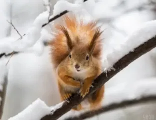 Желтый уровень: В Укргидрометцентре предупредили об опасной погоде
