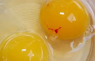 Можно ли есть яйца с красным пятном на желтке: ответ экспертов непременно вас удивит