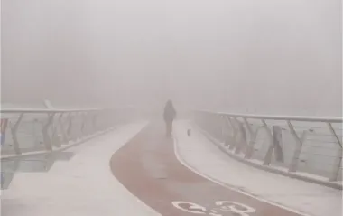 Киев до утра накроет густой туман, резко упадет видимость на дороге