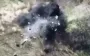 Pieces of occupier scatter after direct hit by Ukrainian kamikaze drone. VIDEO