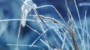 В Україні буде холодно, але без опадів