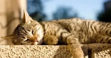 Во вторник в Украине потеплеет до +7 градусов