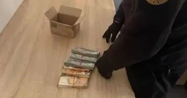 Деньги в картонной коробке: киевлянин пытался вывезти за границу более 1,8 млн грн наличными в валюте