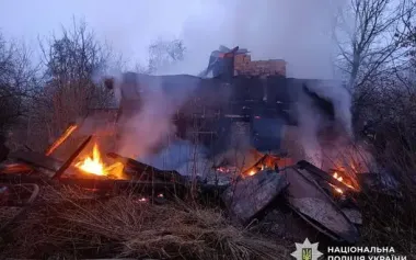 Attacks on Chernihiv region: Russian "gerans" hit farm, livestock killed. PHOTOS