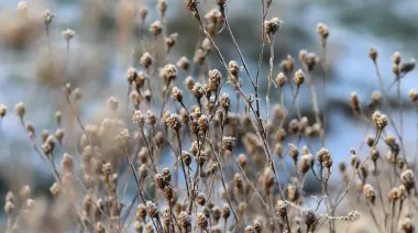В Украине будет прохладно, но без осадков
