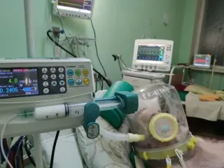 Світу загрожує нова пандемія: лікарі попередили про спалах страшної хвороби