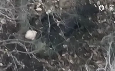 After fleeing to forest belt, occupier stopped to rest, and FPV drone of "Madyar’s Birds" accurately eliminated him. VIDEO