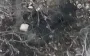 After fleeing to forest belt, occupier stopped to rest, and FPV drone of "Madyar’s Birds" accurately eliminated him. VIDEO