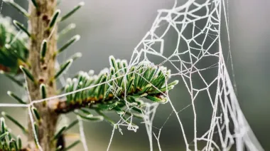 В Україні в найближчі дні без опадів і вночі до 2 морозу