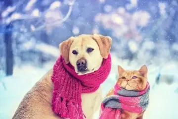 Антициклон будет определять погоду в Украине: к чему готовиться украинцам