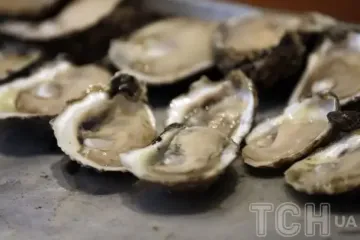 Не только устрицы: 8 продуктов с цинком, которые реально работают для иммунитета