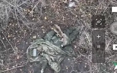 Feral cat eats dead occupier’s backside in tree belt: footage from 92nd Separate Assault Brigade pilots. VIDEO