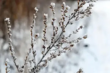 Как изменится погода в Украине во второй половине недели