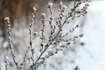 Як зміниться погода в Україні в другій половині тижня