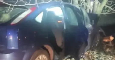 В Черкасской области легковушка врезалась в дерево: водитель погиб, пассажира госпитализировали