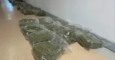 В Варшаве арестовали украинца из более 70 кг наркотиков: детали задержания