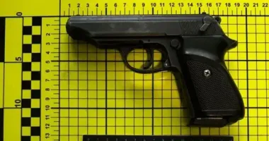 В Киевской области мужчина нашел оружие во время сбора грибов в лесополосе