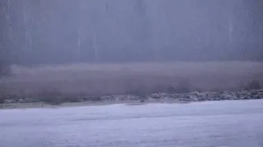 Russian border guards enter Estonian territory, foreign ministry summons Russian chargé d'affaires